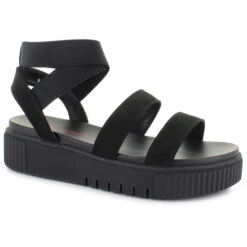 Shimmer By EDL Leena