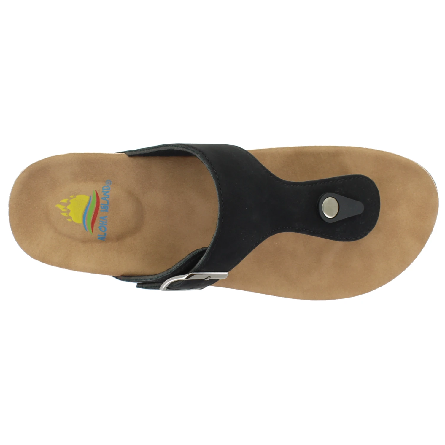 Aloha Island Shelly 7 Aloha Island Shelly - Image 5